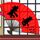 战争之王